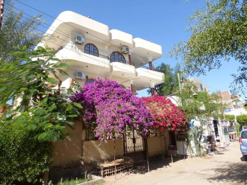 Nile View Panoramique And Garden West Bank Apartment
